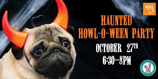 Haunted Howl-o-ween Party for Dogs at Wag Hotels San Francisco