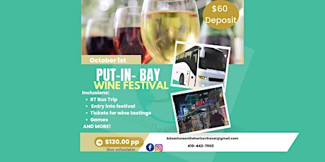 Wine Festival Experience