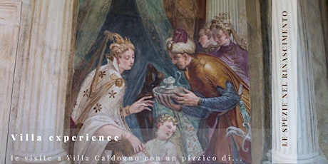 Image principale de Villa Caldogno e il commercio delle spezie nel Rinascimento veneto.