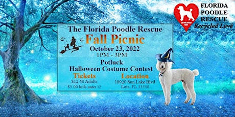Florida Poodle Rescue Fall Picnic