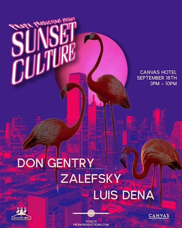 The Rooftop Party // Sunset Culture image