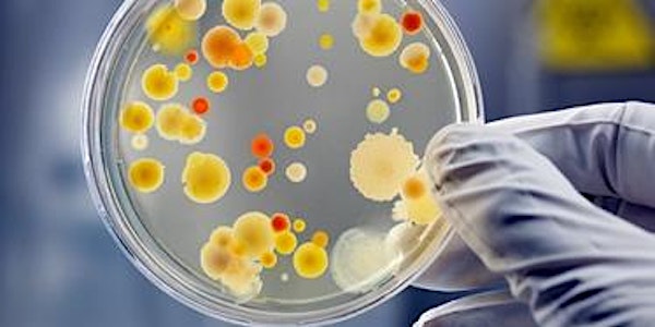 Microbiology Workshop