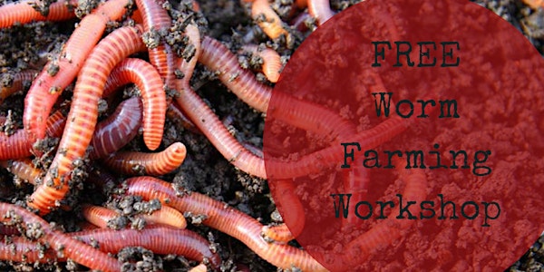 Worm Farming Workshop 