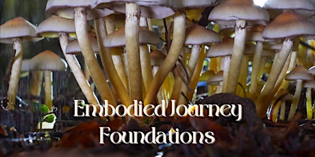 Embodied Journey Foundations: The Art of Self-Guided Journeys