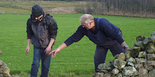 Rusland Horizons: An Introduction to Dry Stone Walling