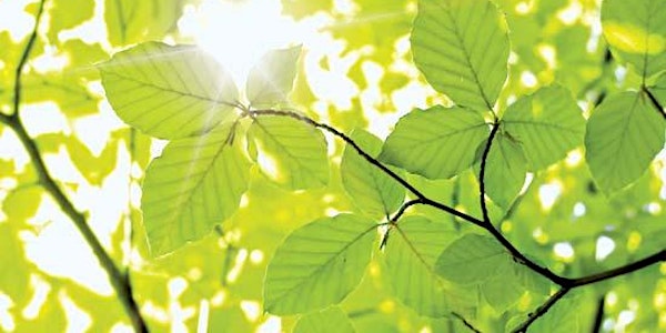 THRIVE ON FAMILY - A Parent Child Mindfulness Adventure
