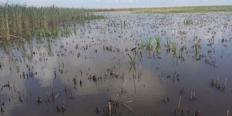 Coastal Conservation Conversation primary image