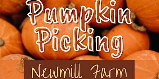 Pumpkin Picking at Newmill