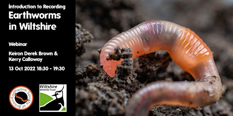 Introduction to Recording Earthworms in Wiltshire