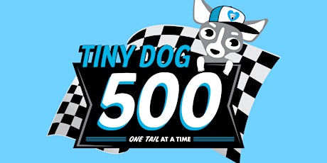 Tiny Dog 500 primary image