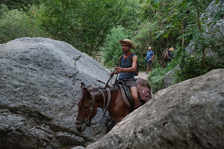Imagen de Trekking Sadernes-Talaixà con mulas