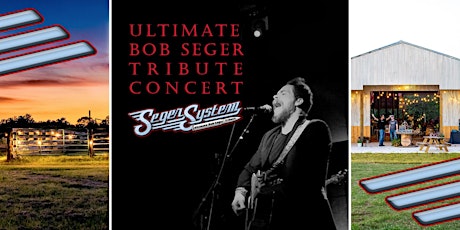 Bob Seger covered by Seger System and Great Texas Wine!!!