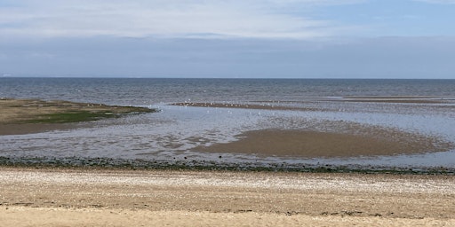See-Sea-Seed Walk with Artists Felicity Bristow and Susie Wilson