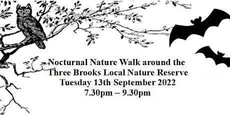 Image principale de Nocturnal Nature Walk around The Three Brooks Local Nature Reserve