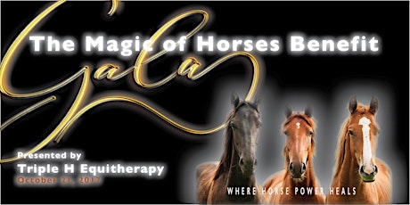 Magic of Horses Benefit Gala primary image