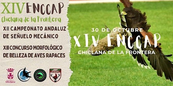 VII Campeonato Andaluz de Cetrería a Señuelo Mecánico - Ciudad de Chiclana
