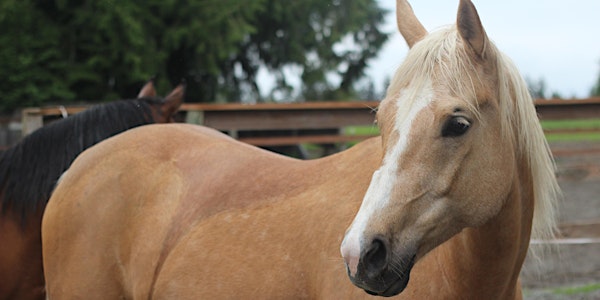 A Safe, Healthy, and Hassle-free Winter on the Farm