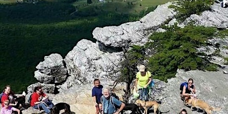 Hike with a Rescue Dog for a Day primary image