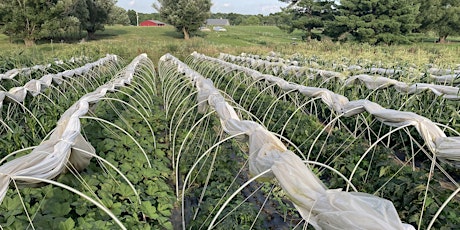 NE Ohio Diversified Vegetable Grower Gathering: From Isolation to Community