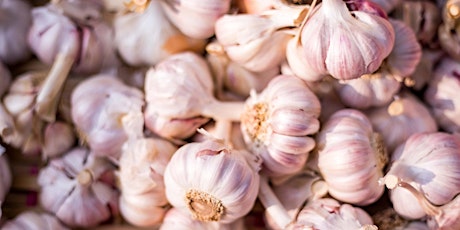 Fall Garden Workshops - Growing Great Garlic - Online