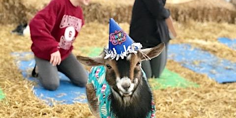 Goat Yoga Nashville- Almost New Year's Eve Class