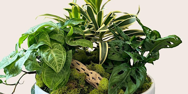 Living Arrangements With Indoor Plants LIVESTREAM