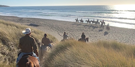 Beach Horseback Ride & Picnic