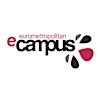 Logo de Eurometropolitan e-Campus