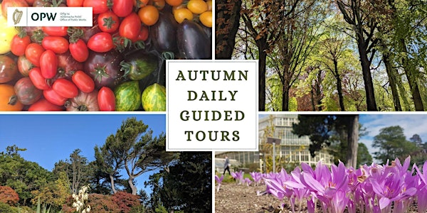Daily Guided Tours of the National Botanic Gardens