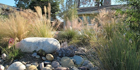 Choosing, Planting and Maintaining California Native Plants primary image