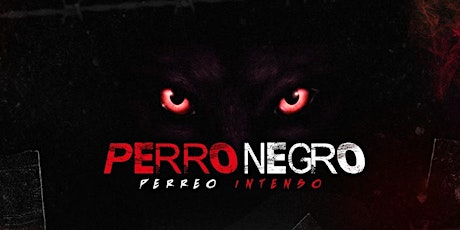Perro Negro Sydney primary image