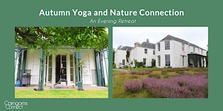 Autumn Yoga and Nature Connection: an evening retreat primary image