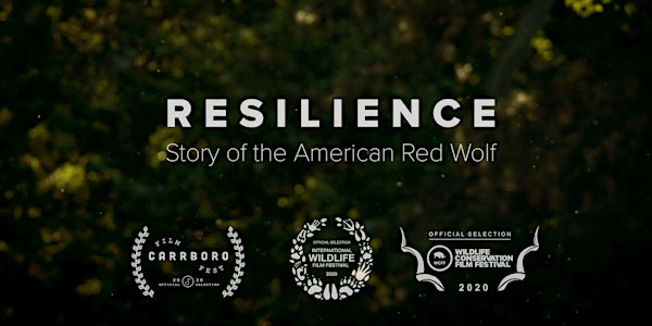 Running Wild Media Takeover: Resilience Film Screening