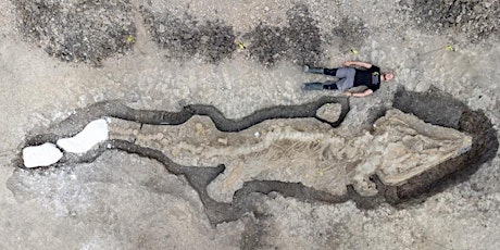 Unearthing the Rutland Sea Dragon-UK's Most Complete Jurassic Giant(online)