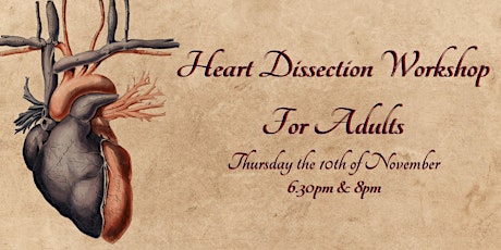 Heart Dissection- Adult Workshop