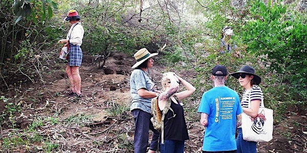 Urban Foraging Walk