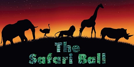The Safari Ball  primary image