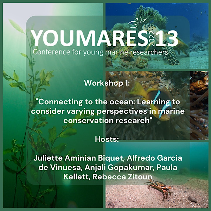 YOUMARES 13 Future Oceans Workshops image