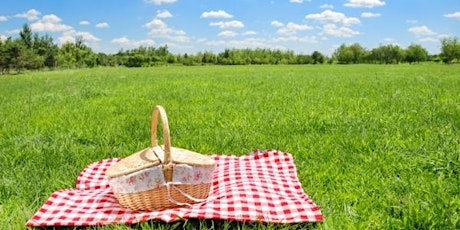 Steampunk 2017 - Picnic on the Lawns primary image