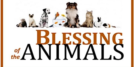 2022 Blessing of  the Animals - St Mary's Church, Burlington