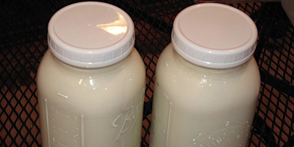 Fermentation Workshop - Dairy: Yogurt, Labne, and Simple Cheeses