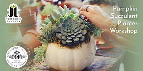 In-Person Pumpkin Succulent Workshop at Springfield Manor