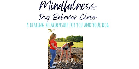 State House Mindfulness Dog Class