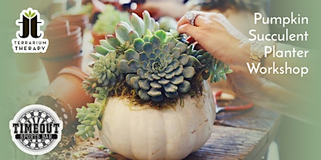 In-Person Pumpkin Succulent Workshop at Timeout Sports Bar