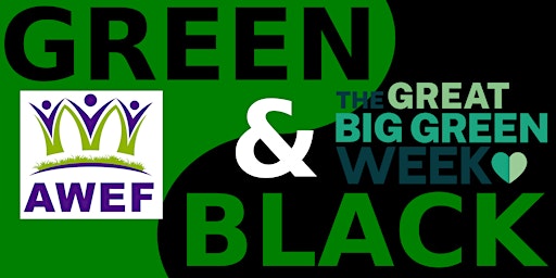 Green & Black Agenda - Climate Change Its Impact on The Black Community