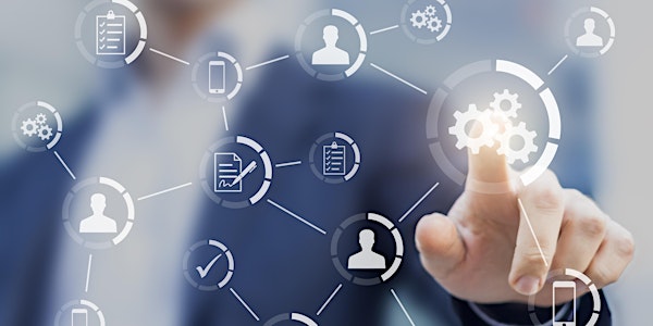 Roles and Responsibilities of a Director of a SME