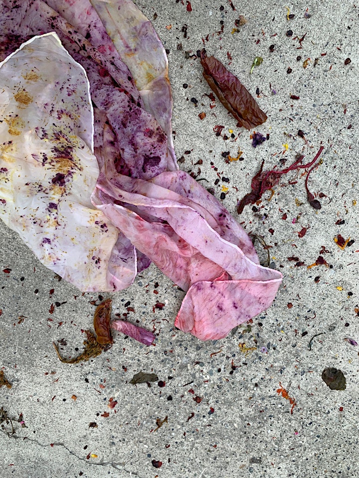 Botanical Infusion: A Flower Dyeing Silk + Gin Pairing Workshop image