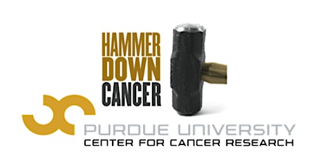 Hammer Down Cancer Luncheon 2017 primary image