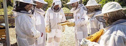 Collection image for Honey & Hive. Bowral Beekeeping Experience