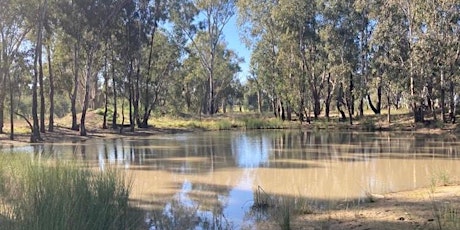 Imagem principal de Natural Asset Farming on the Murrumbidgee Floodplain